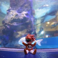 すだちぽんず (@day2perfect) 's Twitter Profile