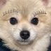 ちーちゃん (@chi_hokke) Twitter profile photo ちーちゃん (@chi_hokke) Twitter profile photo