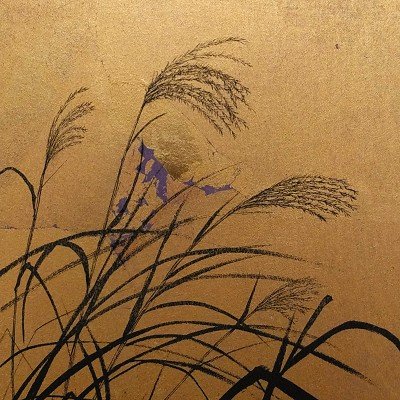 杢田 斎_Itsuki Mokudaさんのプロフィール画像
