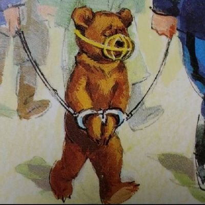 HermitsBoum's profile picture. 未だに広がり続ける趣味と物欲