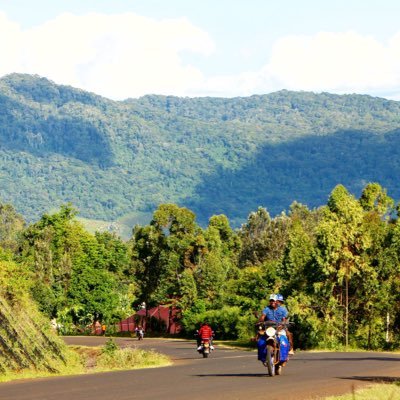 liria_wilson's profile picture. 