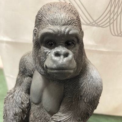 あしゅみんしゅきしゅきマン🥺 🍖🐒🐘🐸💋♨️🚱🏋️‍♀️🎮くるる幼稚園ミョウガ組 🛸︎︎︎☺︎☻☺︎☻☺︎☻☺︎☻☺︎☻☺︎☻☺︎☻☺︎☻☺︎☻☺︎☻☺︎☻☺︎☻☺︎☻☺︎☻☺︎☻☺︎☻☺︎☻☺︎☻☺︎☻☺︎🐄