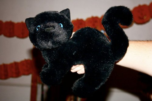 declutter4good's profile picture. Decluttering adventures! 2012 here we come!