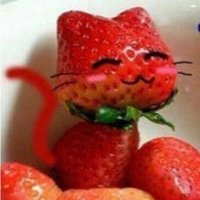 burner (@burner0w0) 's Twitter Profile