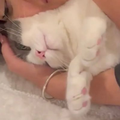 Busmer_'s profile picture. 