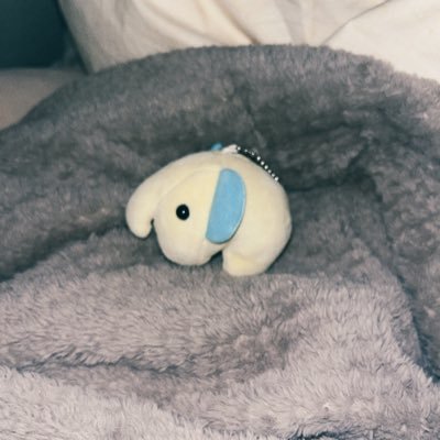 elefant_nui's profile picture. 20↑┊🇮🇳その他映画情報収集アカ┊ クソデカ感情好き┊ 閲覧メイン