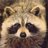 dascoon10's profile image