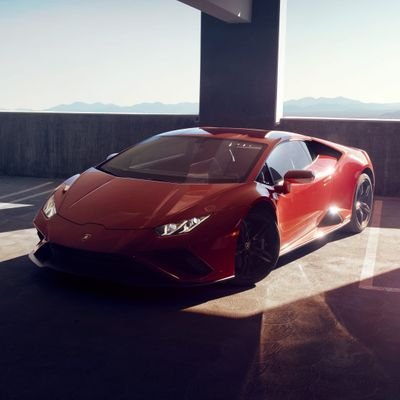 Danielf16780982's profile picture. 