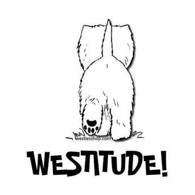 maravilla71's profile picture. El camino del cielo es saber vencer sin combatir. Responder sin hablar. Atraer sin llamar y actuar sin agitarse.  LXXIV Tao Te King 71-81.