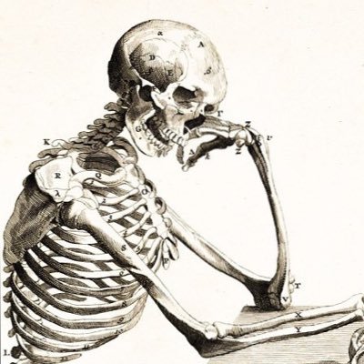 LimpWalkin's profile picture. player for @revereclan