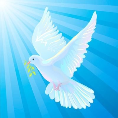 CiceronNteme's profile picture. Ingénieur en PGEN