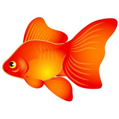 strip1_hugo's profile picture. ストリップと撮影会が好き