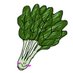 すぴなきあ🥬 (@sp1nac1a) Twitter profile photo すぴなきあ🥬 (@sp1nac1a) Twitter profile photo