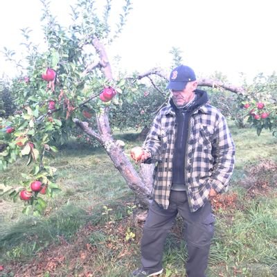 Tim196782's profile picture. 