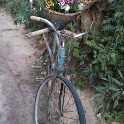 minhthanhsang2's profile picture. cầu thị