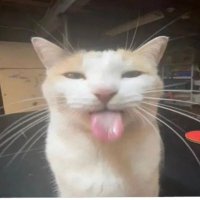 GeoBalloon (@geophph6) 's Twitter Profile Photo GeoBalloon (@geophph6) 's Twitter Profile Photo