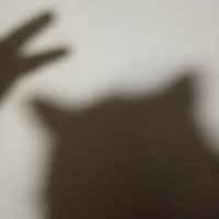 needyllama (@myalexithymiaa) 's Twitter Profile