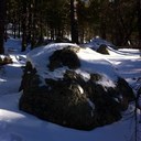 Bernice Munoz - @beremun - Twitter