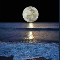 Guiguy (@guiguy99850373) 's Twitter Profile Photo