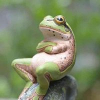De jansen 2 (@deechtejansen) 's Twitter Profile