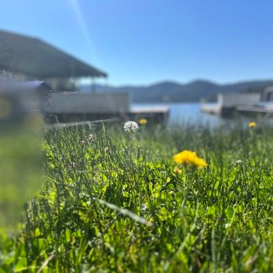 N8OM1's profile picture. #lakearrowhead #redlands #sabbath