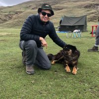 Nikhil Sharma (@callsignscorpio) 's Twitter Profile