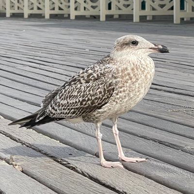 sarah_misat's profile picture. 