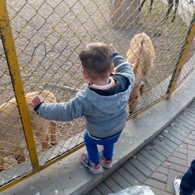 sohailjee777's profile picture. serve humanity