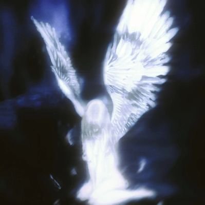 MBAKERYG's profile picture. 暂不接推广/置顶/转推  无🚪 不+v 私信挑感兴趣的回复