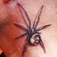 TurnFear2Fascination 🇬🇧 🇮🇱 🏴󠁧󠁢󠁥󠁮󠁧󠁿🕷️ (@tone_killick) Twitter profile photo
