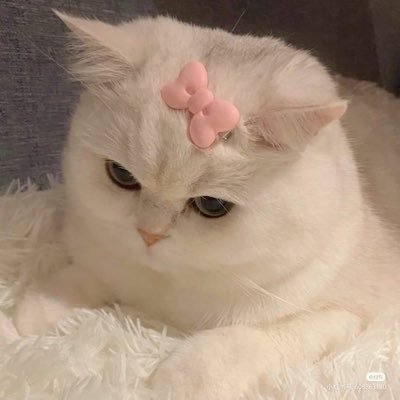 jssjsiwiwqpi's profile picture. die🥰