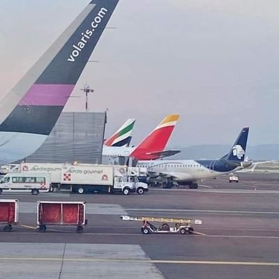 jgonzo8209's profile picture. 