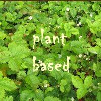 plantbasednormality(@PBbyDefault) 's Twitter Profile Photo