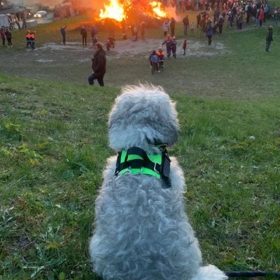 Her RT FV onay değildir.🤯 Algıda Seçici bir kişilik.