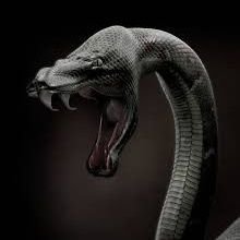 madprofuyah's profile picture. IMPLACABLE, ONISE'GUN, Ibibio Man.
HETEROthoughtful BUT BI-CURIOUS.

tweets are my alter ego opinions..
(lover of 🐍 s.)