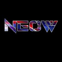 New England Championship Wrestling(NECW) (@necw2k_) 's Twitter Profile