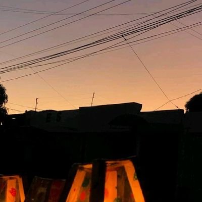 BunnieMilye's profile picture. uhmm