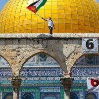 شروق (@shrouk_tareek) Twitter profile photo