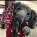 Bama girl 🐘❤️🏈🌊🏳️🌈 ☮️ 🇺🇸 (@jodimorlock2) Twitter profile photo Bama girl 🐘❤️🏈🌊🏳️🌈 ☮️ 🇺🇸 (@jodimorlock2) Twitter profile photo