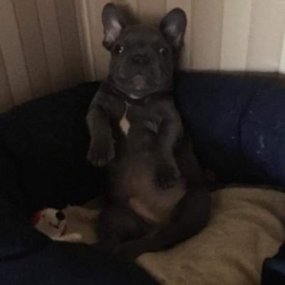 LazaTAMS1's profile picture. Minden