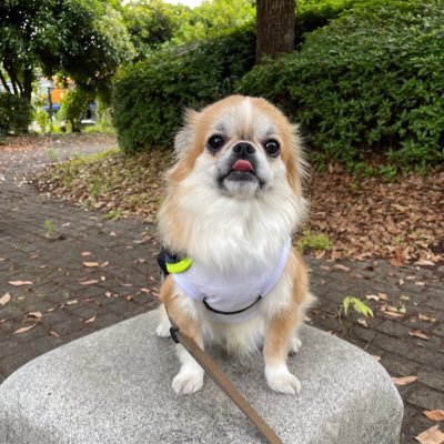 Kj1Gs's profile picture. 