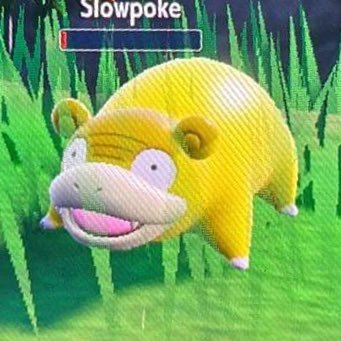 Slowpoke fan. Amateur shiny Pokemon hunter, GBA and DS mostly with some 3ds and switch. 90s grunge and manga nerd. follow me on IG switzcheez