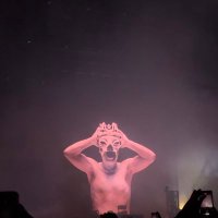 panch (@tacodetripa_) 's Twitter Profile