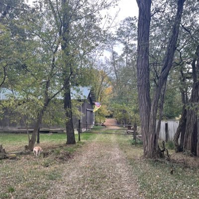 Fledgling Flower Farm in Ohio. Listener to Podcasts. Christian interested in Folklore and Mythology.