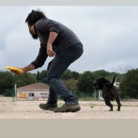 StevensonK (@stevensonk8) 's Twitter Profile