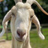 Jonah (@infwuential) 's Twitter Profile