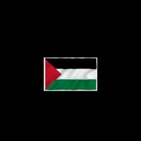 omar 🇵🇸 (@itsomar500) 's Twitter Profile
