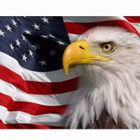 ProudVeteran1972 (@proudveteran72) 's Twitter Profile Photo ProudVeteran1972 (@proudveteran72) 's Twitter Profile Photo