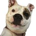 Alias Chase (@aliaschase55) Twitter profile photo Alias Chase (@aliaschase55) Twitter profile photo