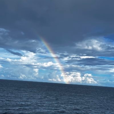 将来はキッチンに立つのが夢